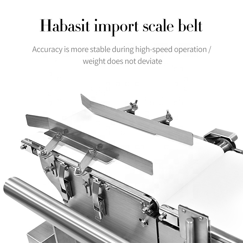Máquina controladora de peso com transportador automático de alta velocidade